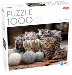 Kittens