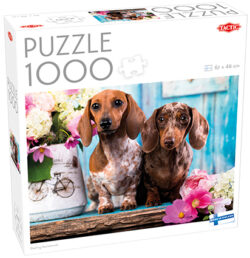 Dashing Dachshunds