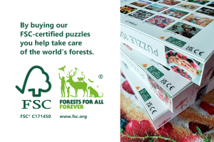 Read more about the article Tactic Puzzles are FSC®-certified