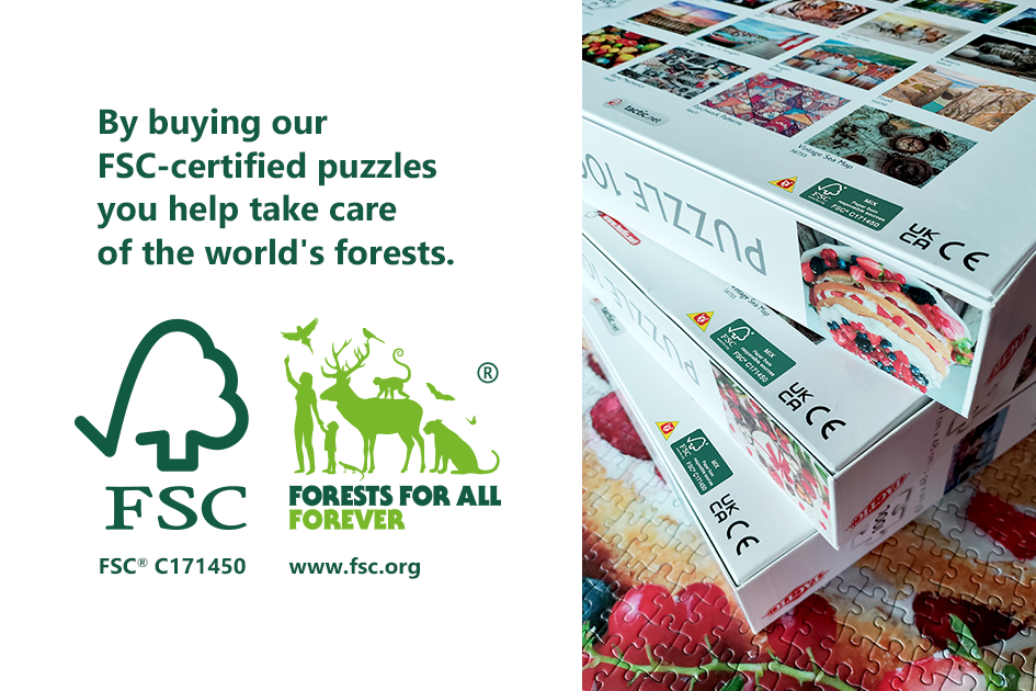 Read more about the article Tactic Puzzles are FSC®-certified