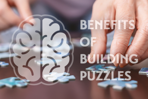 Read more about the article Benefits of building puzzles