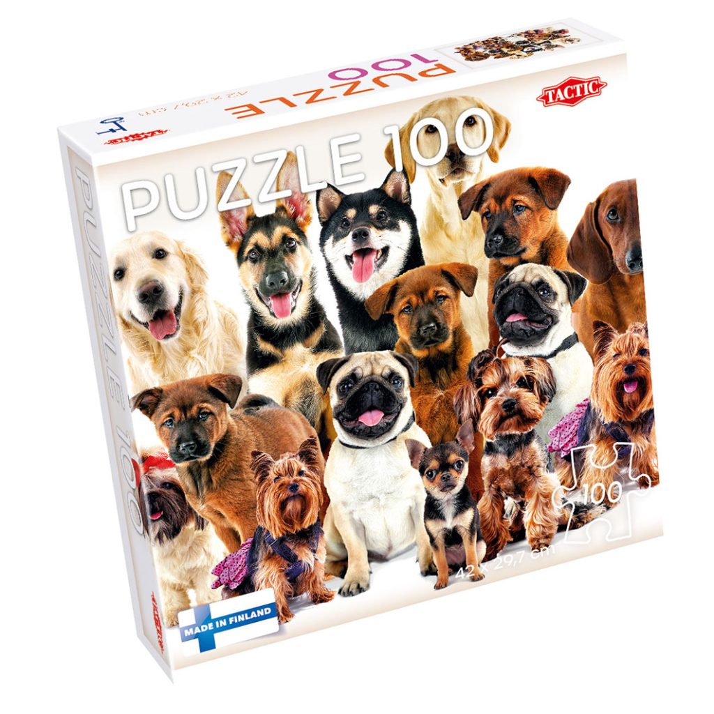 100 Pieces Puzzle Lovers